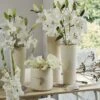 Collection Bulbes Pour Bouquets Modernes Blancs -Raciflore Soldes Boutique Collection bulbes pour bouquets modernes blancs 18974 1