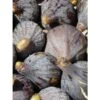 Figuier - Ficus Carica Grise De Tarascon -Raciflore Soldes Boutique ficus carica grise de tarascon demi tige en pot de7 l0l 1005092 1